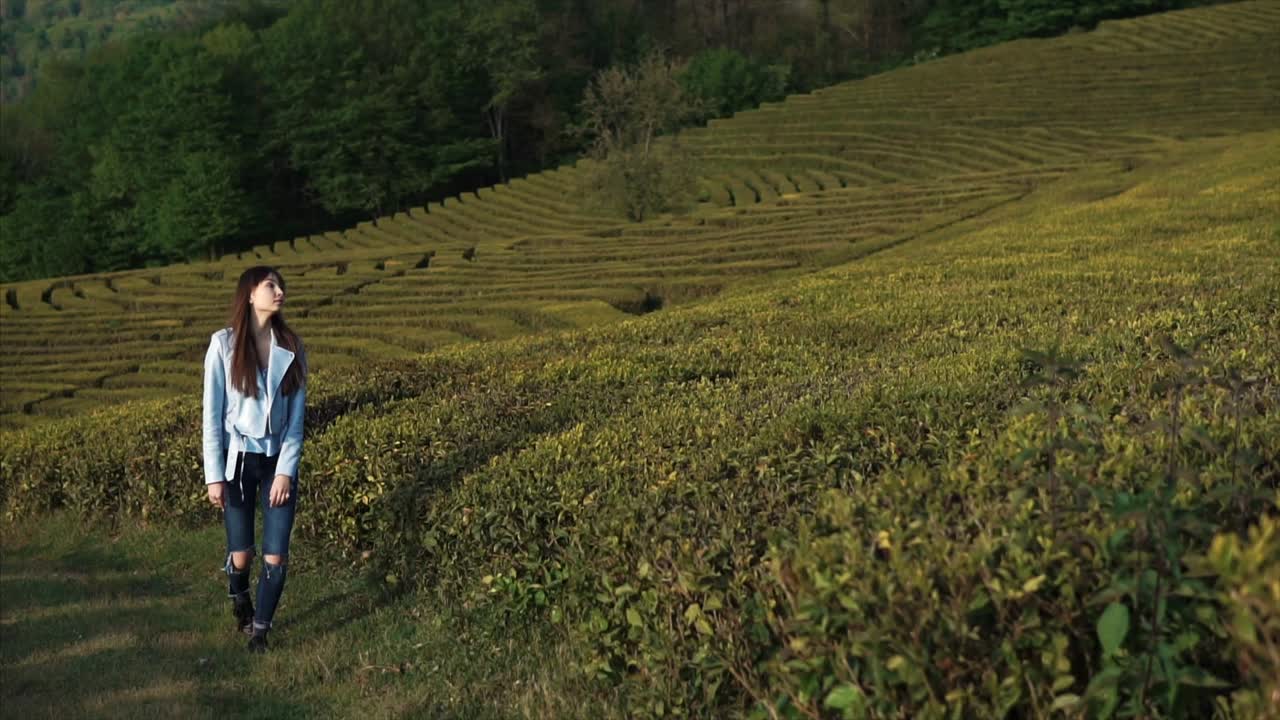 женщина идет по чайной плантации.