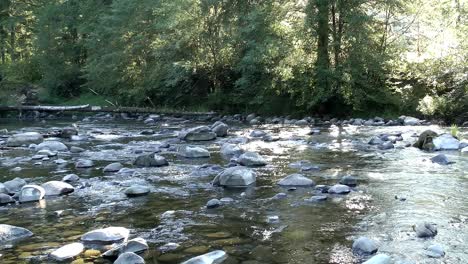 Peaceful-and-restful-rushing-water-of-a-river-stream-over-rocks,-logs,-and-through-the-surrounding-greenery-and-trees-of-a-park-in-Camas,-Washington-on-an-early-morning-with-the-sun-peaking-through