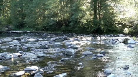 peaceful and restful rushing water of a river stream over rocks, logs, and through the surrounding greenery and trees of a park in camas, washington on an early morning with the sun peaking through