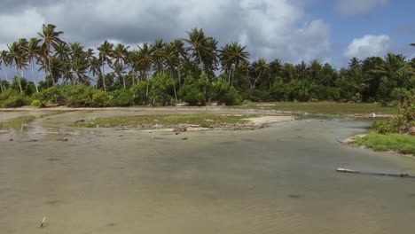 Tabuaeran,-Atolón-Isla-Fanning,-Palmeras