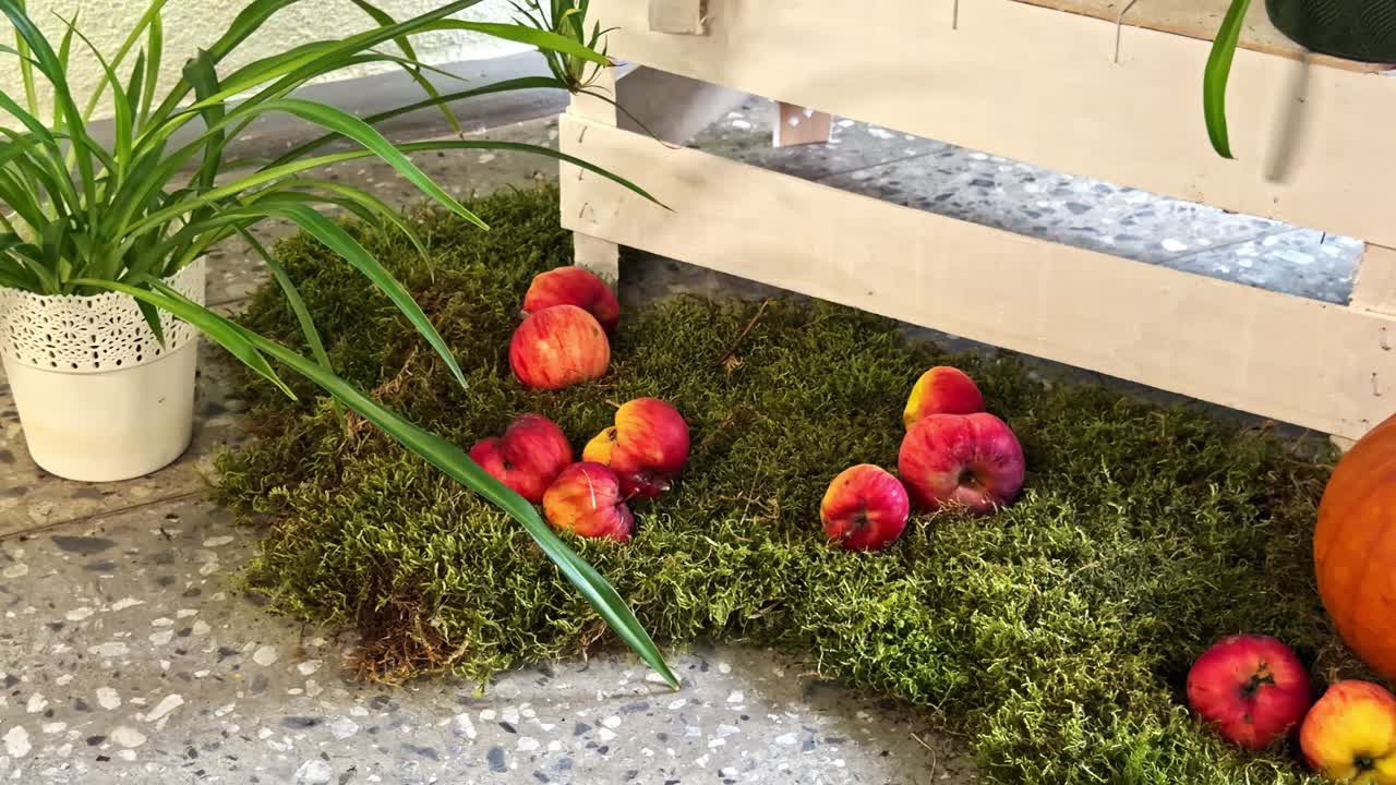 Autumn harvest scene with pumpkin and apples on moss at rustic market display indoors