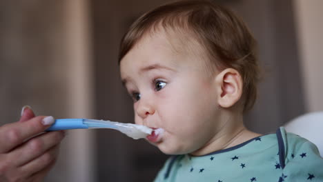 one year old kid is fed from spoon. portrait of a baby with adorable cheeks being fed indoors. close up. blurred backdrop.