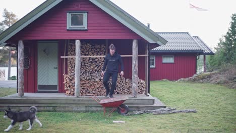 man picks up the last piece of firewood into the wheelbarrow