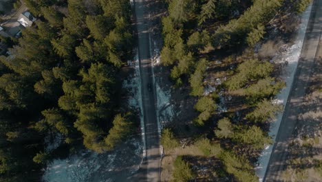 Antena-De-Arriba-Hacia-Abajo-Siguiendo-A-Un-Aventurero-Camión-Suv-Negro-Conduciendo-A-Través-De-La-Naturaleza-Exuberante-Bosque-De-Pinos-En-Invierno-Con-Nieve-En-El-Suelo