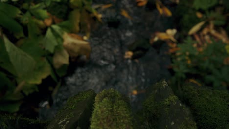 moss covered stone and autumn leaves of dark shadow stream rackfocus