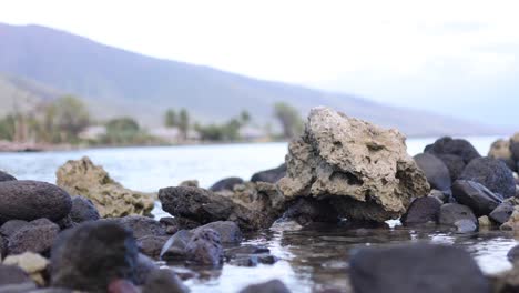 rising and dropping tides ; olowalu, maui