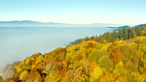 aerial hyperlapse of fog rolling around mountainside forest in autumn color