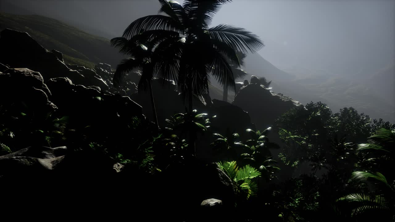 los rayos del atardecer a través de las palmeras