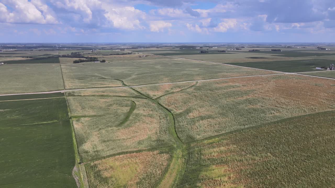 Aerial Drone Video Wind Damage To Rural, Agrarian Agricultural Crops And Farmland In The Midwest Heartland Of Iowa