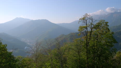 산 계곡 풍경