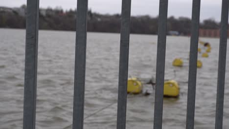 You-can-see-the-river-behind-the-fence-that-creates-a-beautiful-background