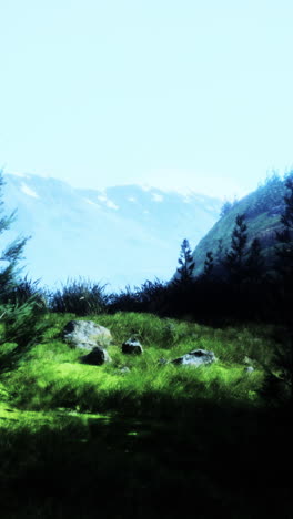campo de hierba verde con una montaña en el fondo
