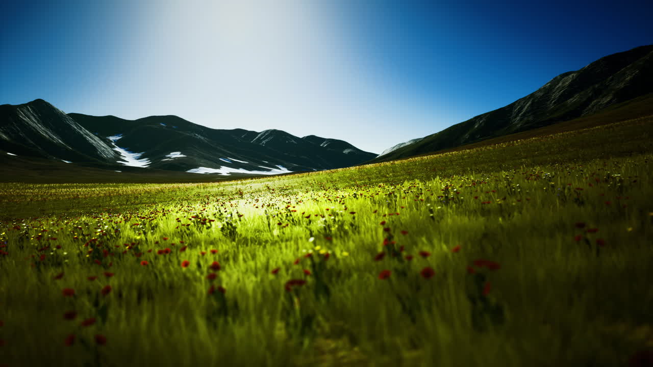 Vibrant green meadow under a clear sky near majestic mountains at sunset