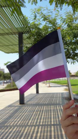 celebrating asexuality with pride flag