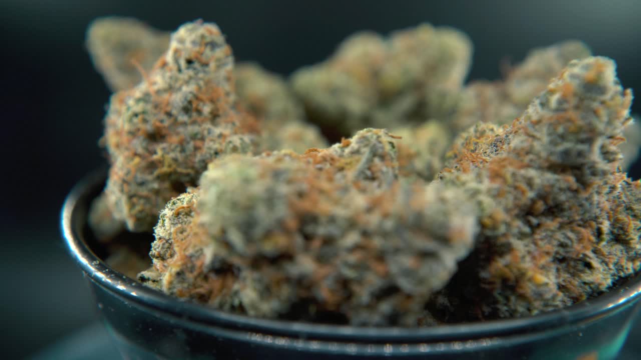 A macro dreamy pan right shot of a cannabis plant, hybrid orange strains, sativa ,marijuana flower, on a rotating stand, slow motion, 4K video, studio lighting