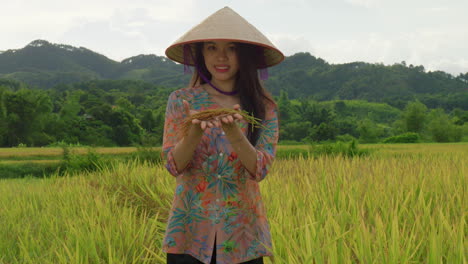 young-Vietnamese-woman-farmer-working-in-rice-field-plantation-holding-a-crop-in-front-of-the-camera-smiling-in-slow-motion-wearing-traditional-clothing