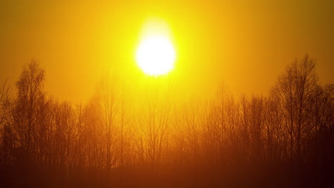 Timelapse-Con-Silueta-De-árboles-En-Paisaje-Invernal-Y-Cielo-Naranja-Al-Atardecer-Bajo-El-Sol-Que-Avanza