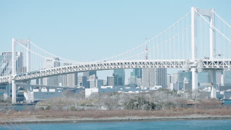 A-fixed-wide-shot-of-the-Rainbow-Bridge-in-Odaiba,-Tokyo,-Japan