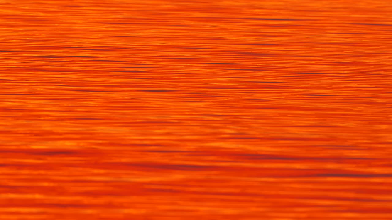 En vacker soluppgång speglar sig i vattnet och ger det en orange, eldsliknande färg, vid Varsity Lake QLD Australien.