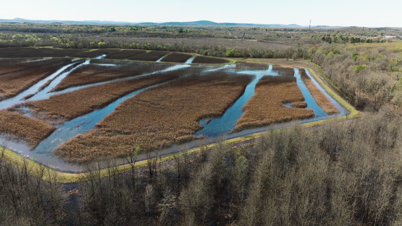 lago de hierba en el área de gestión de vida silvestre del estado de bell slough en arkansas, estados unidos