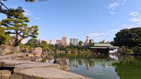 peaceful garden with pond, rocks, and city backdrop