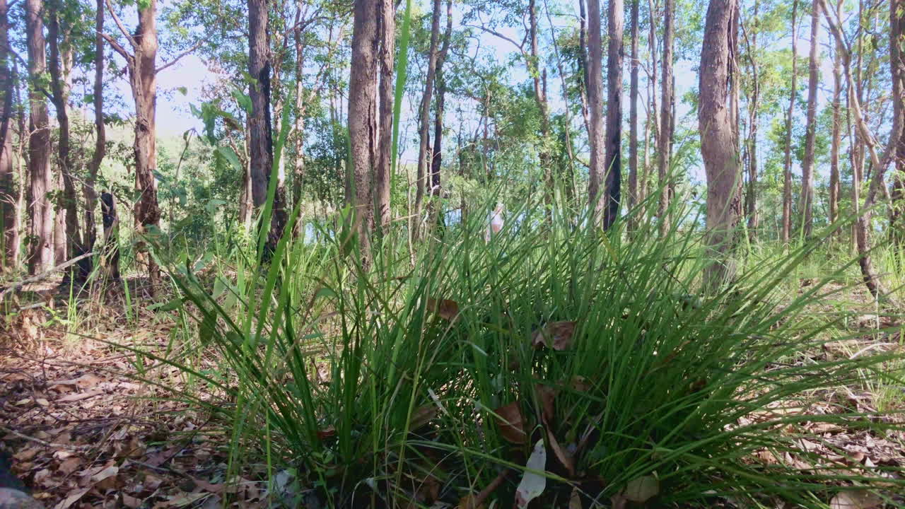 el hombre camina por un camino de grava en un monte cerca de una gran vista del lago desde lejos