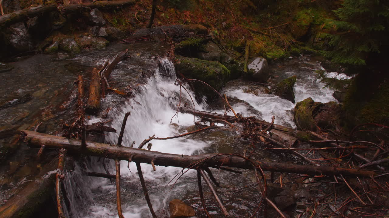 Wide shot of Virgin creek as it flows over fallen trees and boulders in the Chugach national forest in Girdwood Alaska