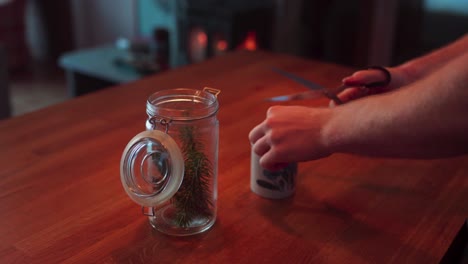 person cutting pine tree leaves into cup