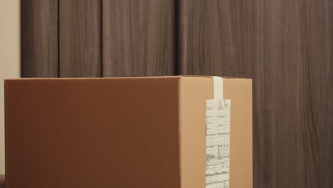 food and goods delivery box, contactless online shopping, volunteer courier delivers parcel a to door of home, door to door deliver, e-commerce purchase.