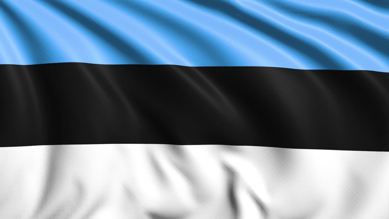 에스토니아의 발은 바람에 직물 구조 (loopable)