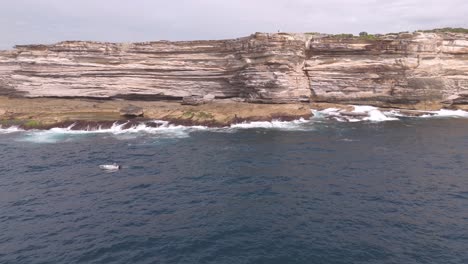 aerial drone shot of a small fishing boat with an angler off malabar headland, sydney. waves crash against the rocky coastline, creating a serene ocean scene with dramatic cliff backdrop.