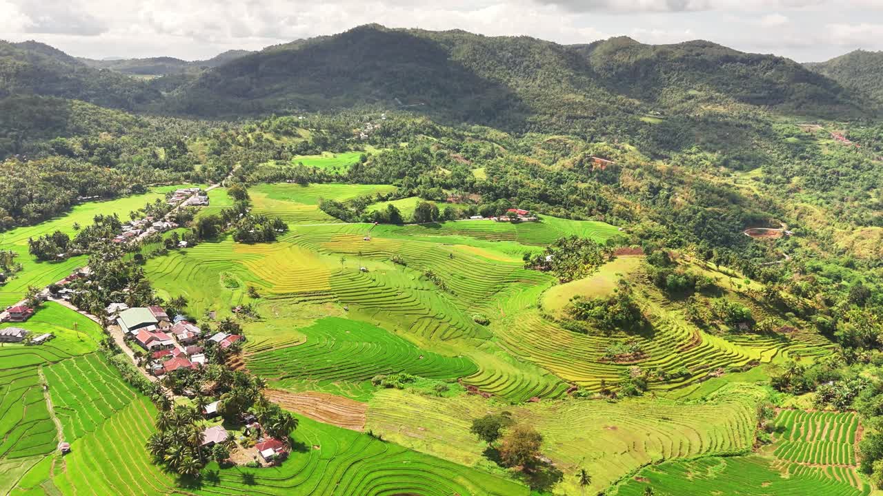 Terraced rice fields stretch across rolling hills in Cadapdapan, Bohol, Philippines, with vibrant green and golden hues, scattered homes, and forested mountains under a bright, partly cloudy sky