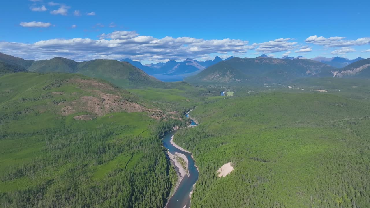 río flathead a través de un denso bosque siempre verde cerca del parque nacional de los glaciares en montana, ee.uu.