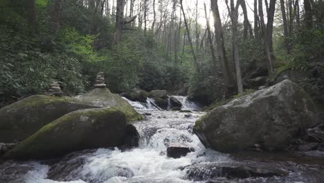 Stationary-shot-of-a-peaceful-location-in-the-woods