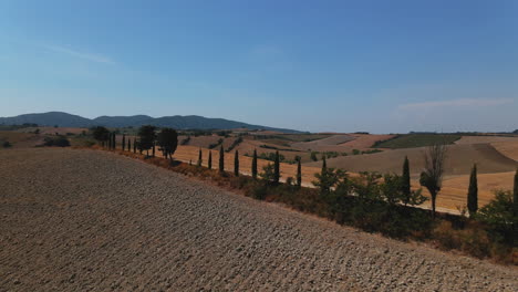 drone view of plain farm lands used as wineyard surrounded by trees and mountains under a clear sky at tuscany, italy
