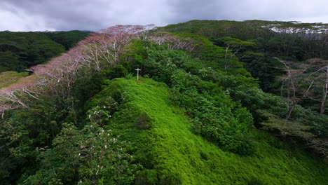 papeno'o church white cross jesus christ catholic christian religion tiarei papeete teahupoo tahiti french polynesia aerial drone dormant volcano mountainside lush dense jungle forest backwards