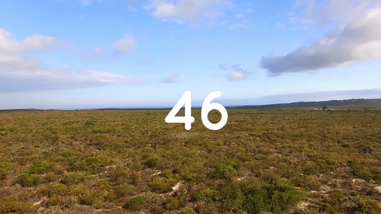 필드와 하늘 위에서 성장하는 숫자의 애니메이션