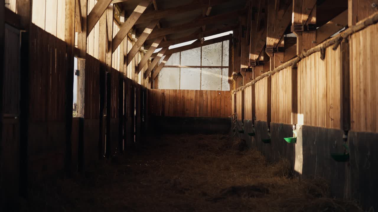 Vista grandangolare dell'interno di un fienile rustico in legno o una stalla per cavalli. La luce del sole filtra attraverso la struttura su paglia e fieno. Atmosfera cinematografica e serena in un edificio agricolo