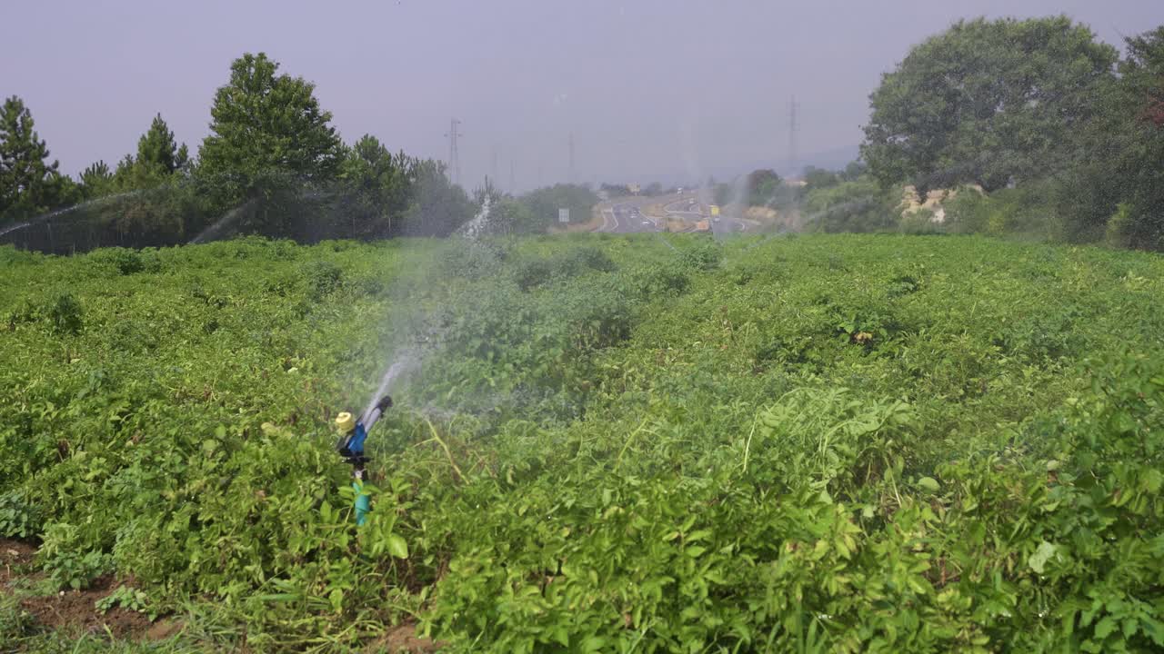 Irrigazione del campo