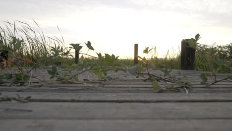 puesta de sol sobre un muelle de madera