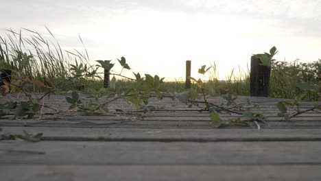 sun setting over a wooden dock