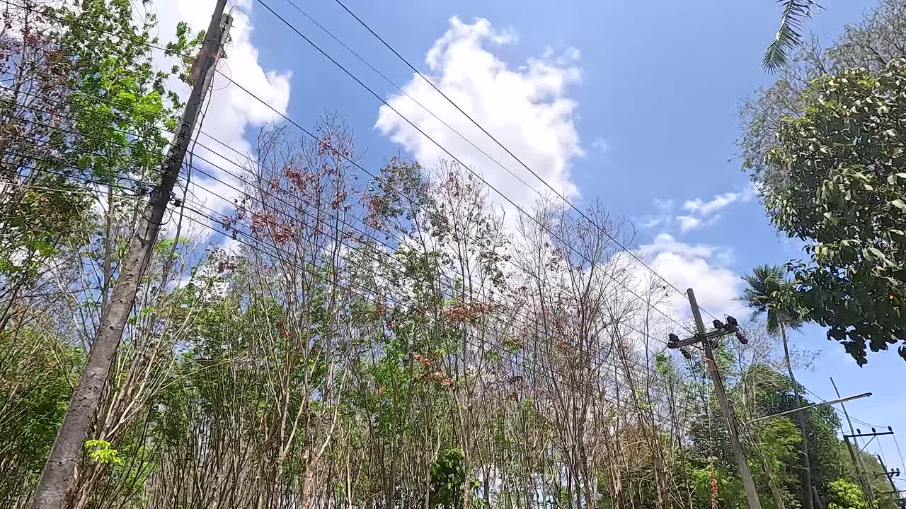 태국 의 빛 하늘  에 고무 나무 근처 에 주차 된 자동차