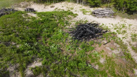 burn pile of trees near dunes