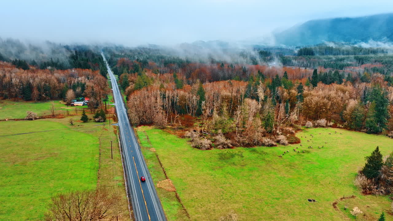 Smooth asphalt road passing the countryside with valleys and forests. Red car drives through the area in the Mount Rainer National park, Washington State, the USA. Top view.