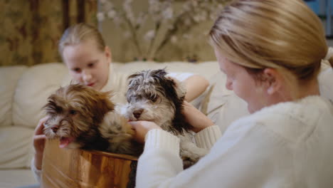 the child with his mother plays with small puppies, have a good time together