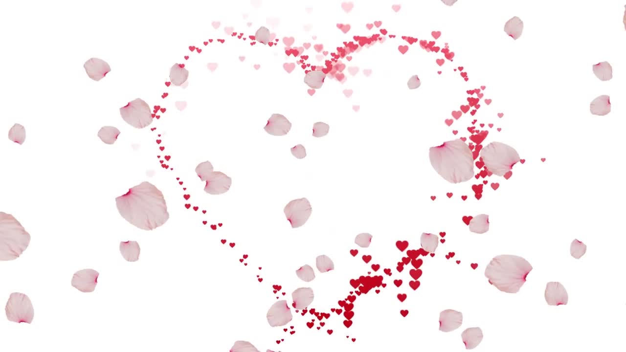Animazione di petali di rosa su un cuore su sfondo bianco
