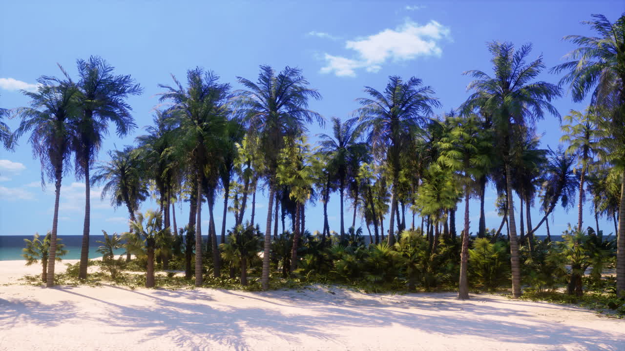 Tropical Beach Paradise with Palm Trees