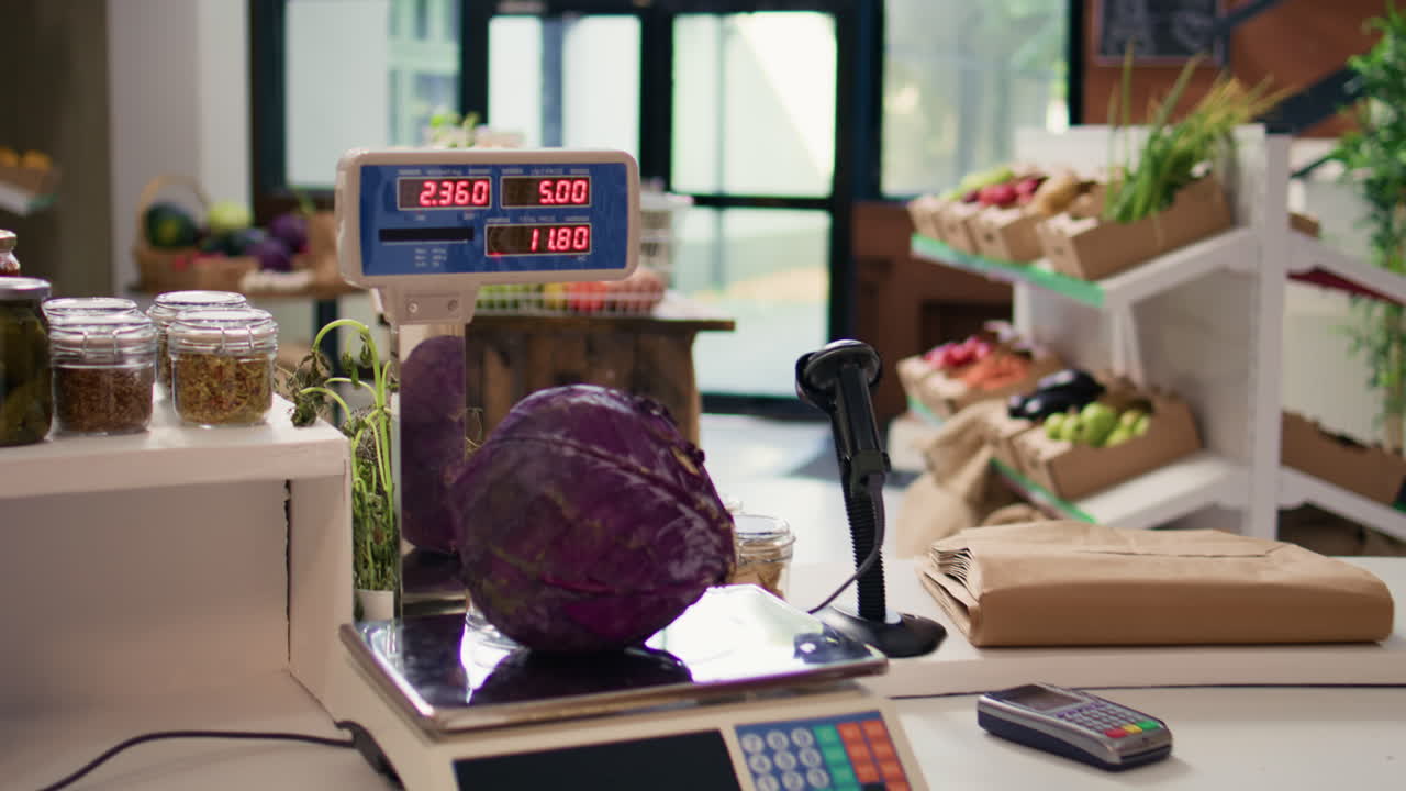 비어있는 지역 제로 폐기물 생태 저장소