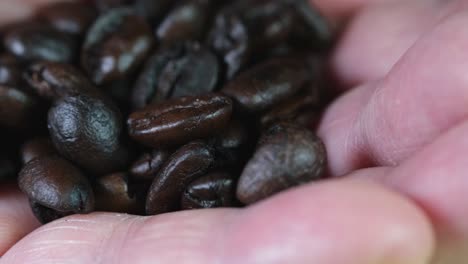 granos de café en una mano en movimiento que muestra los granos de arábica tostados