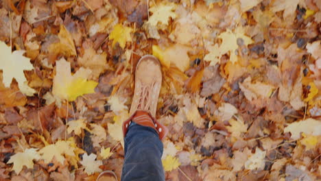 walk through the autumn park legs go along the fallen leaves